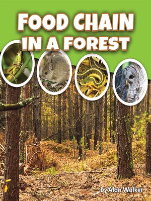 cover image of Food Chain In a Forest